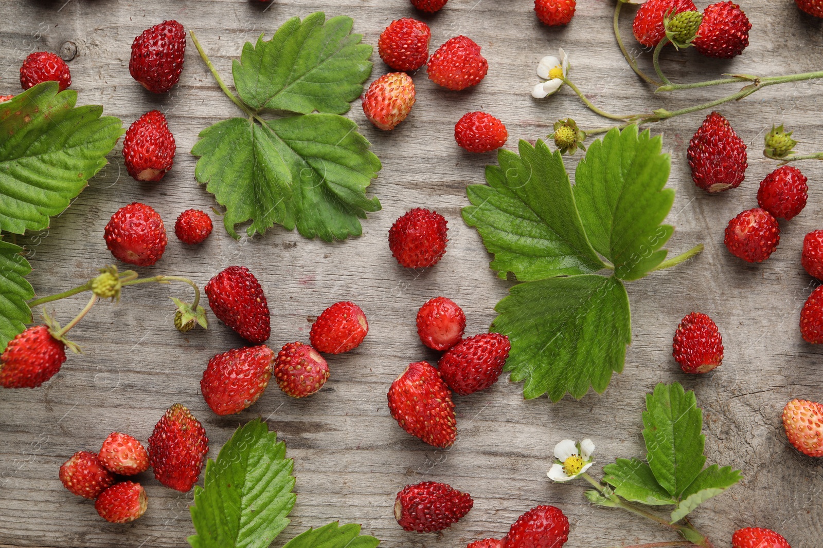 Photo of Many fresh wild strawberries, flowers and leaves on wooden table, flat lay