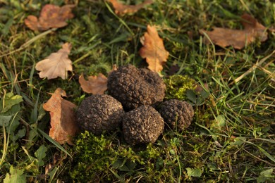 Photo of Fresh truffles on green grass, closeup view