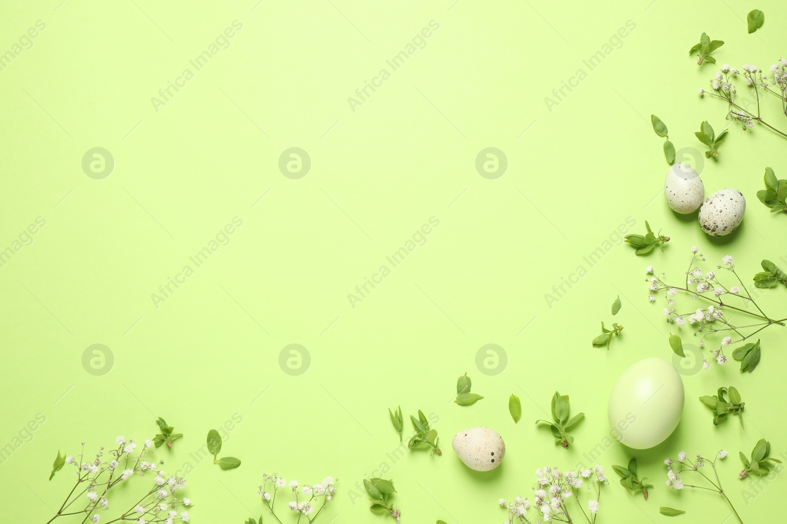 Photo of Beautiful flat lay composition with flowers and Easter eggs on green background. Space for text