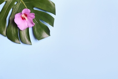 Photo of Flat lay composition with tropical leaf and Hibiscus flower on light blue background. Space for text