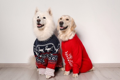 Photo of Cute dogs in Christmas sweaters on floor near white wall