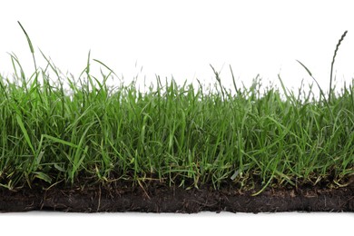 Photo of Soil with green grass on white background, closeup