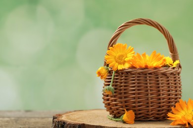 Photo of Beautiful fresh calendula flowers in wicker basket on wooden table against blurred green background, space for text