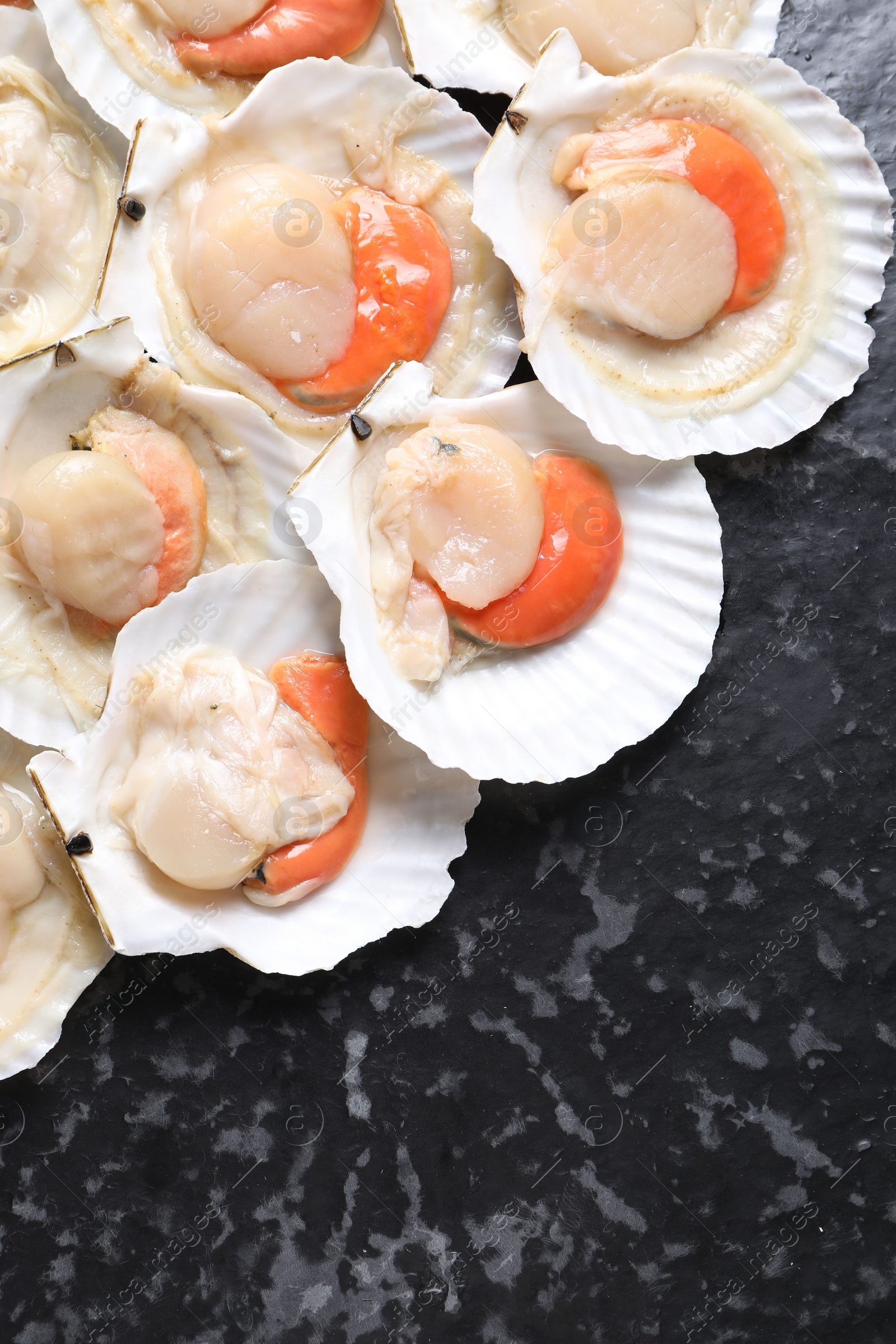 Photo of Fresh raw scallops with shells on black textured table, flat lay. Space for text