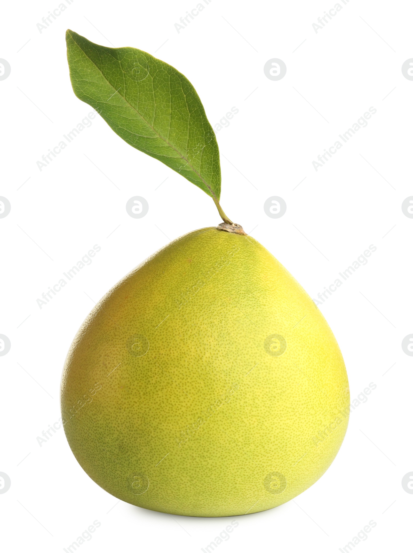 Photo of Fresh exotic pomelo fruit with leaf isolated on white