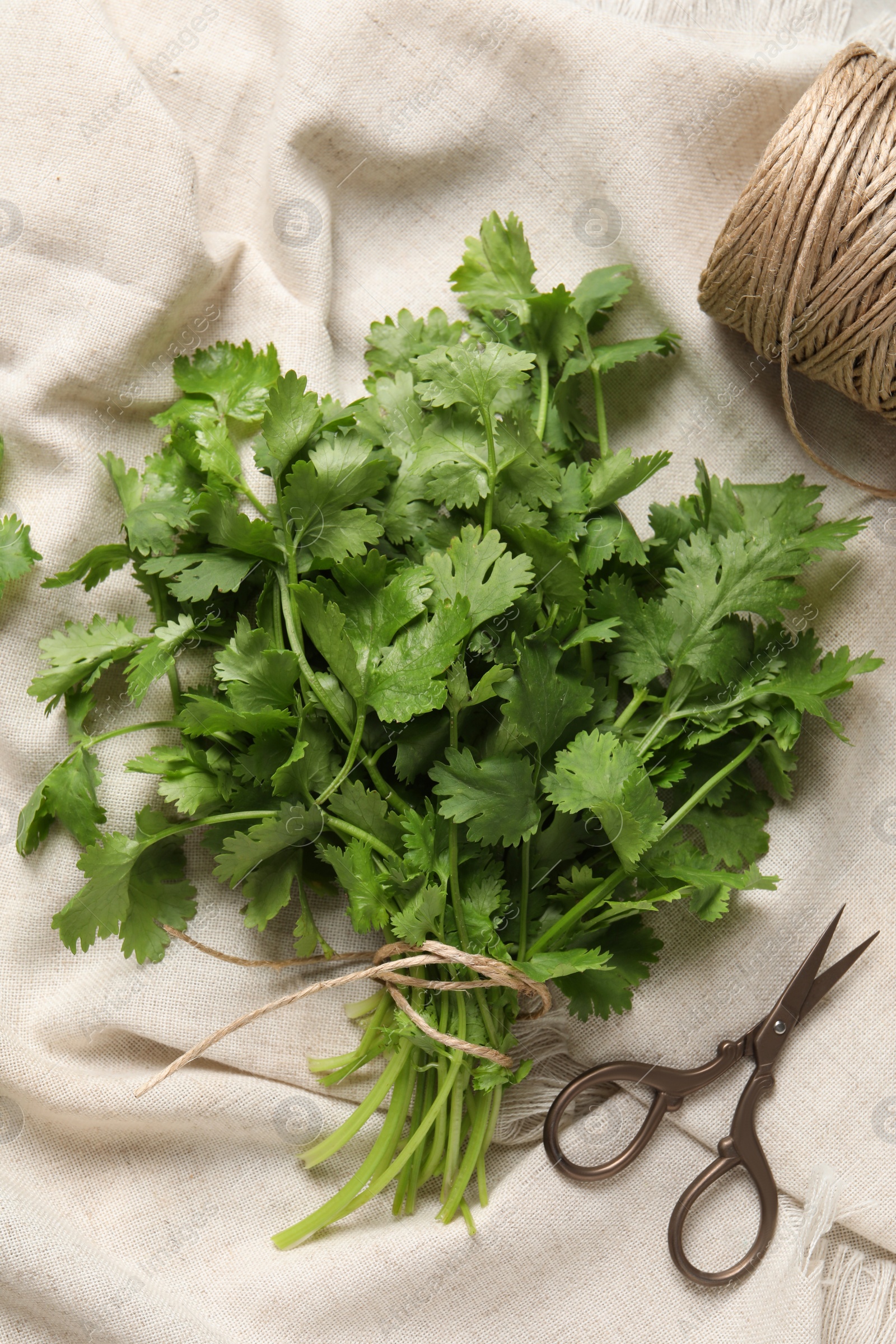 Photo of Fresh green cilantro, twine and scissors on white fabric, flat lay