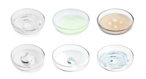 Image of Collage of Petri dishes with liquid samples isolated on white