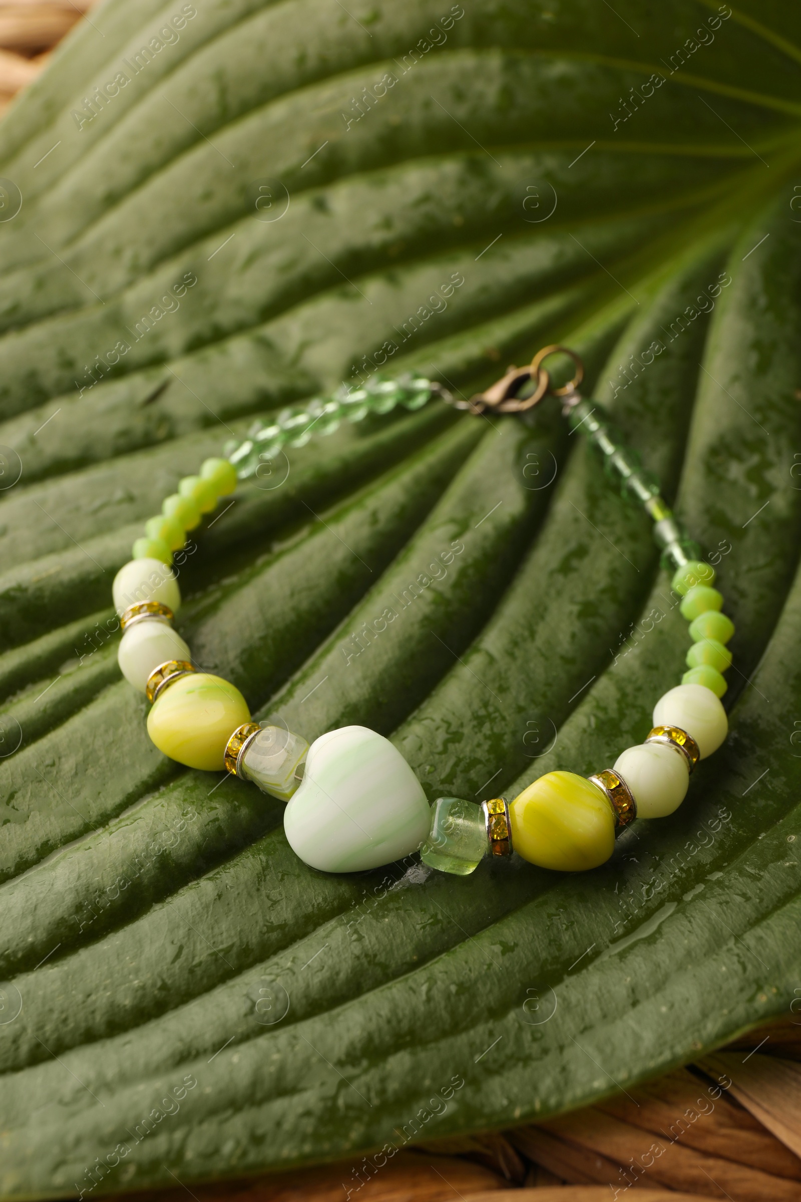 Photo of Beautiful bracelet with gemstones on green leaf