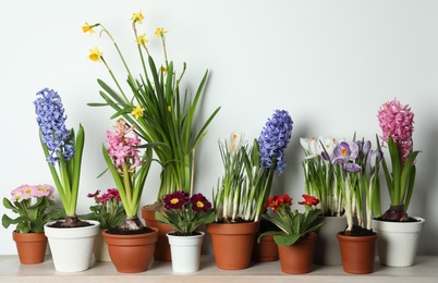 Photo of Different beautiful potted flowers on table near white wall