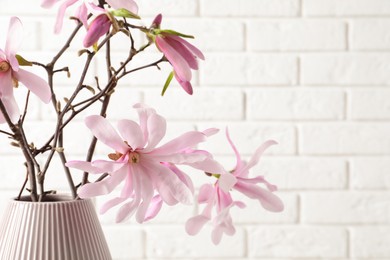 Magnolia tree branches with beautiful flowers in vase against white brick wall, closeup. Space for text