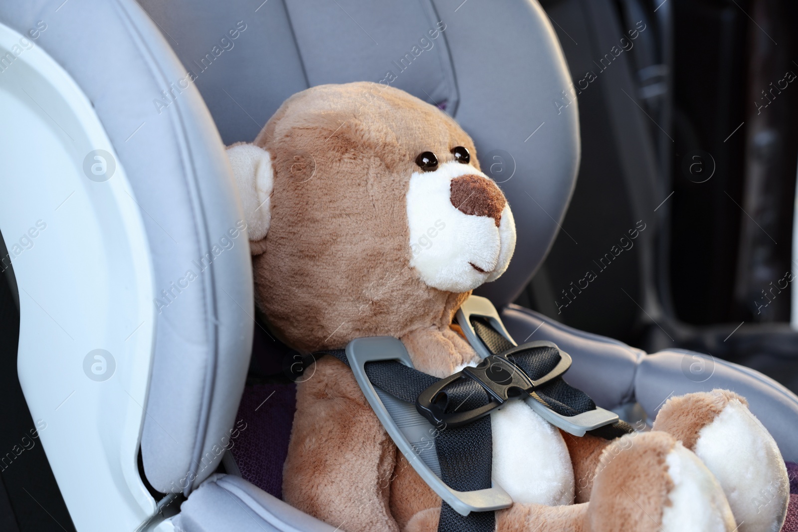 Photo of Teddy bear in child safety seat inside car