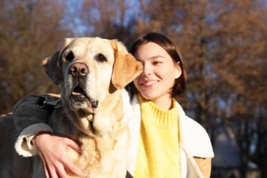 Beautiful young woman with cute Labrador Retriever on sunny day outdoors