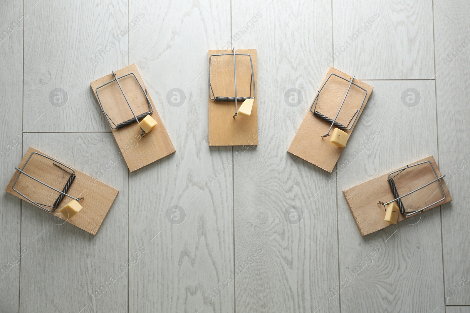 Photo of Mousetraps with pieces of cheese and space for text on white wooden background, flat lay. Pest control