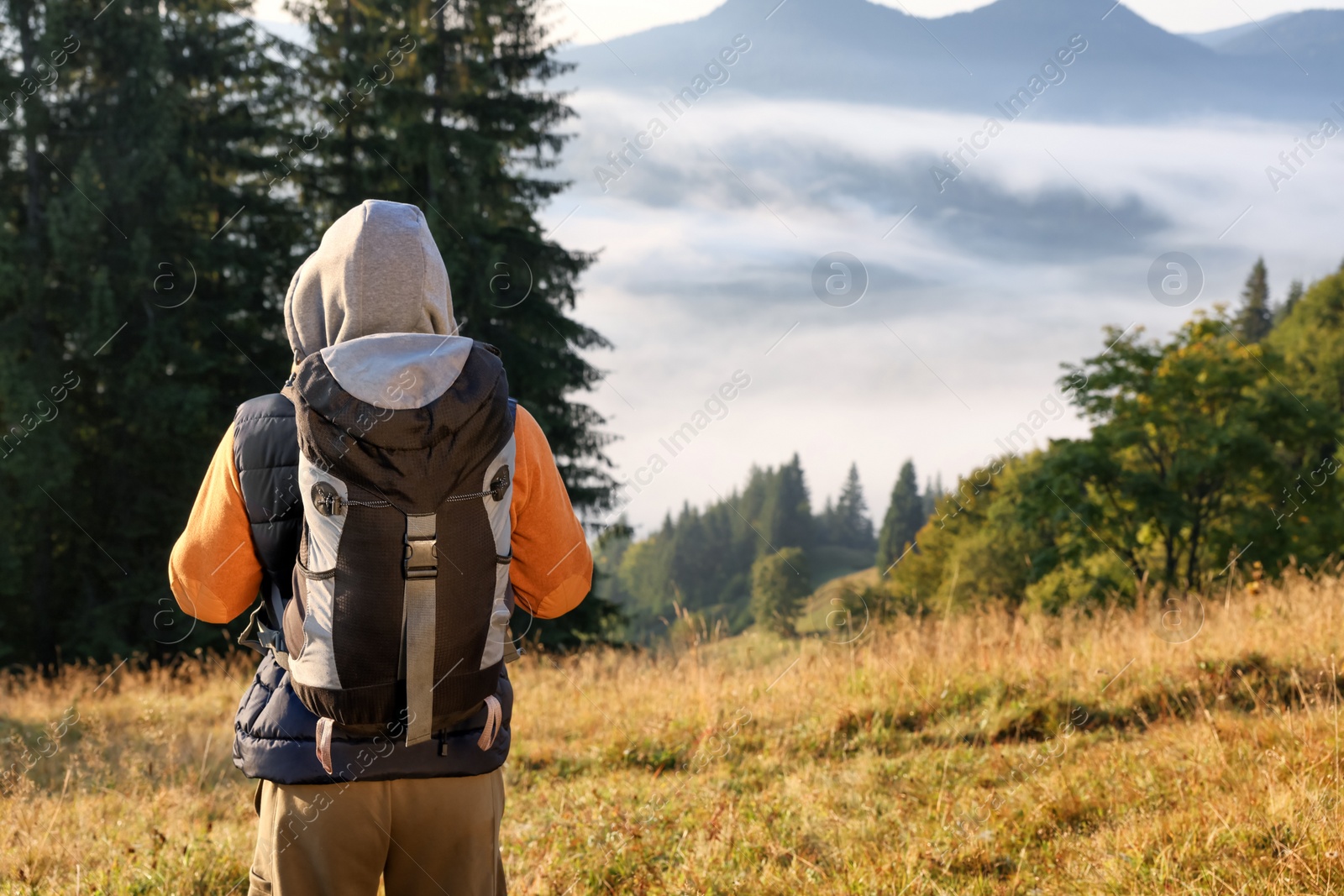 Photo of Tourist with backpack in mountains on sunny day, back view. Space for text