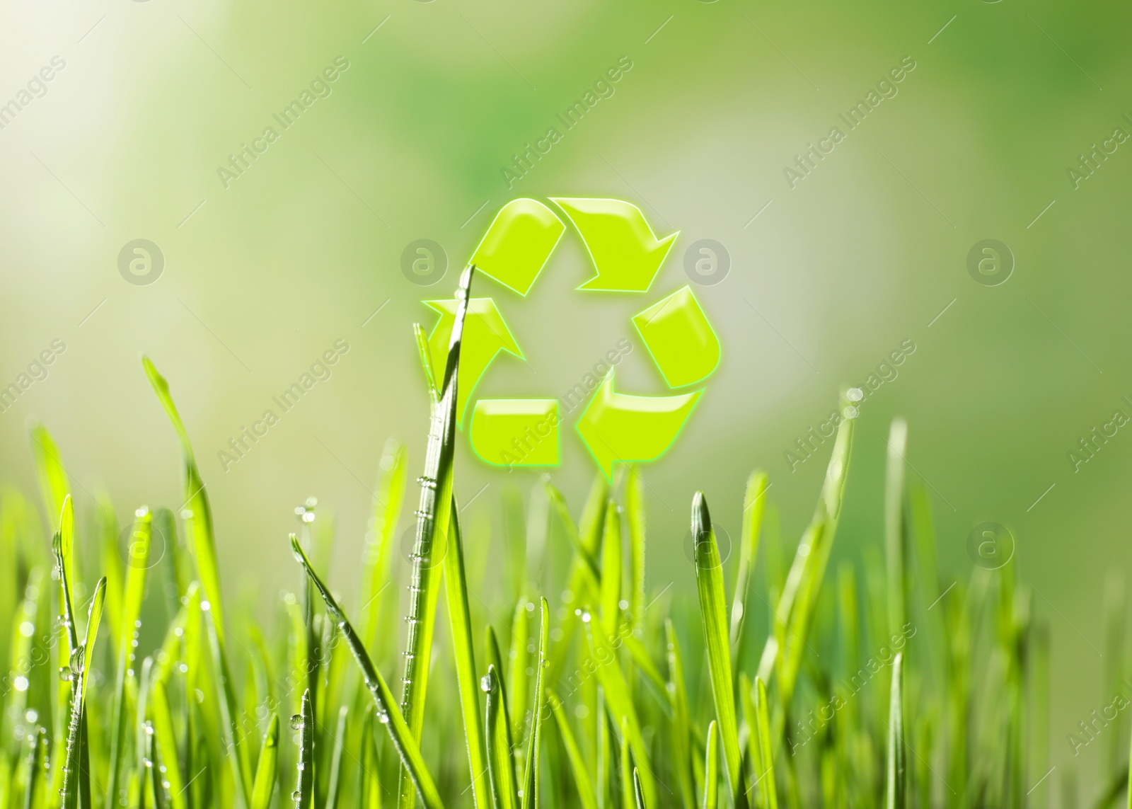 Image of Green grass and illustration of recycling symbol on blurred background