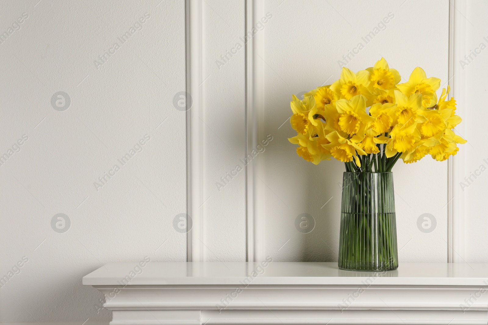 Photo of Beautiful daffodils in vase on table near white wall indoors, space for text