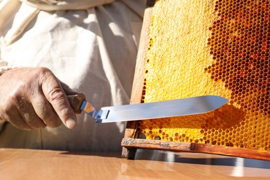 Beekeeper uncapping honeycomb frame with knife at table, closeup