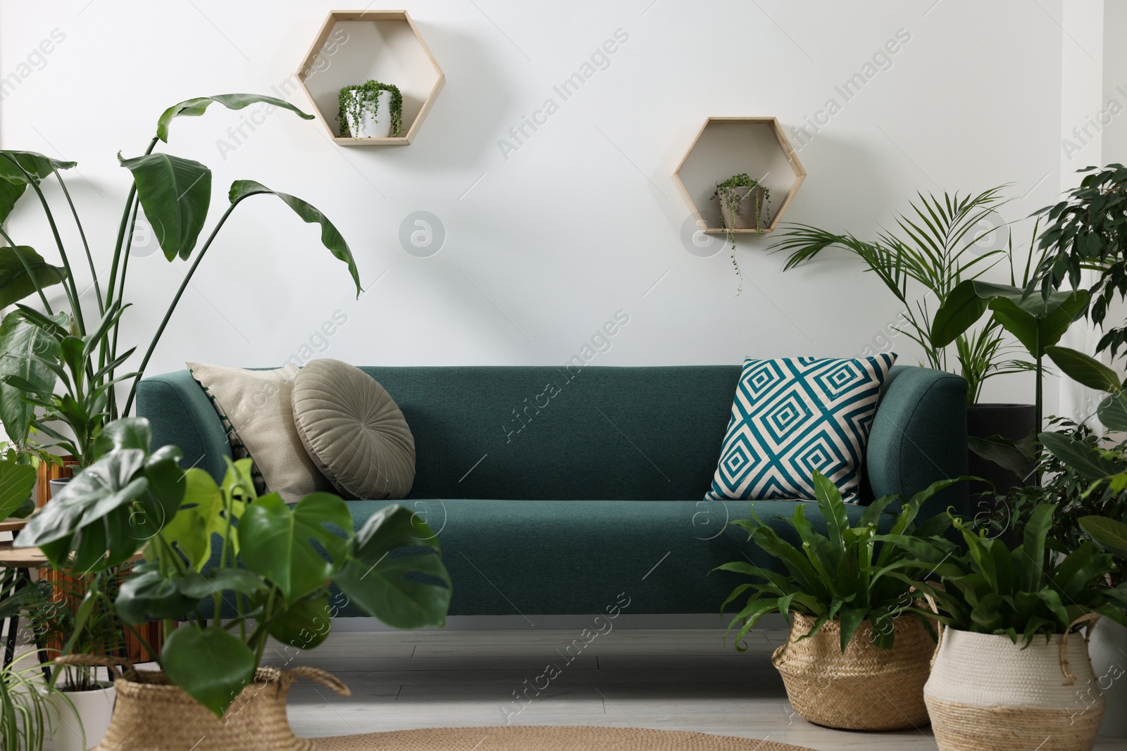 Photo of Relaxing atmosphere. Many different potted houseplants near sofa in room