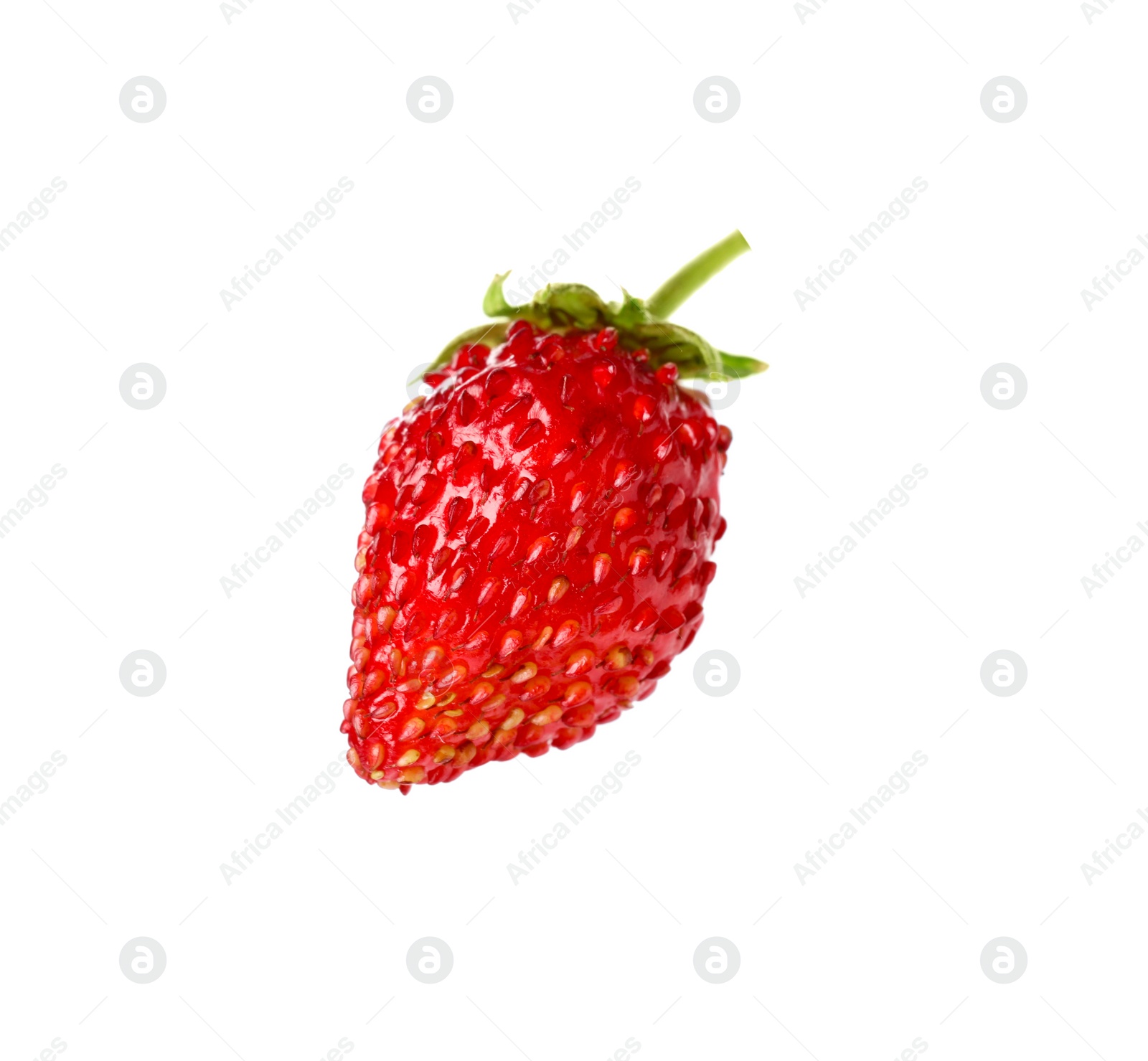 Photo of One ripe wild strawberry isolated on white