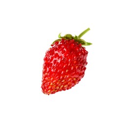 Photo of One ripe wild strawberry isolated on white