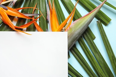 Creative composition with tropical flowers, green foliage and card on color background, top view