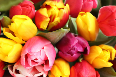 Photo of Closeup view of beautiful bright spring tulips