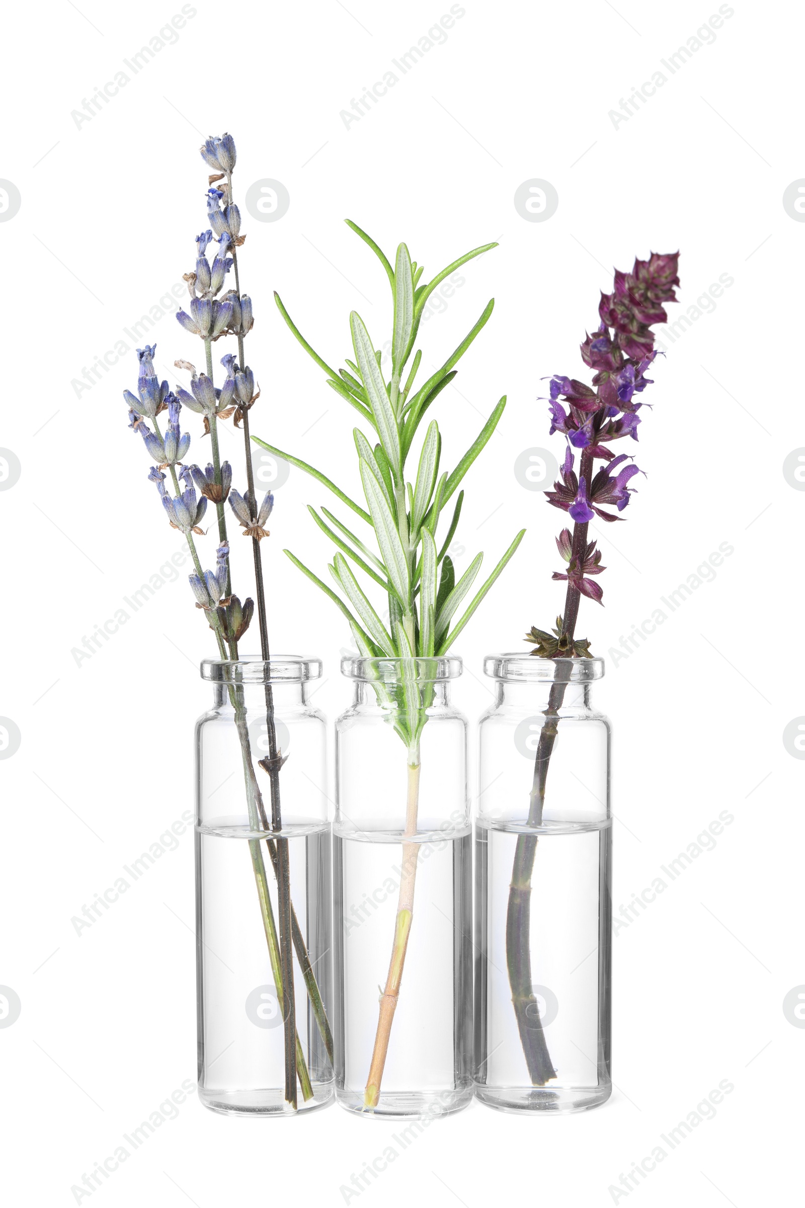 Photo of Bottles with essential oils and plants isolated on white