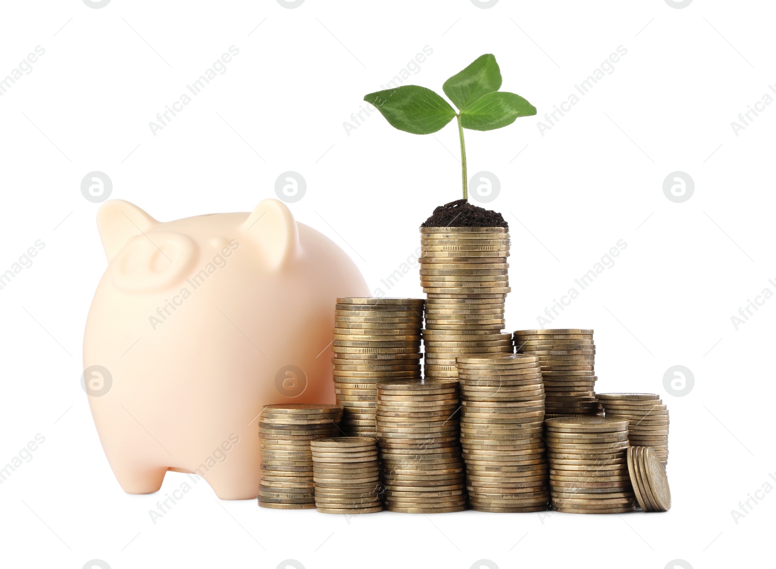 Photo of Stacks of coins with green sprout and piggy bank isolated on white. Investment concept