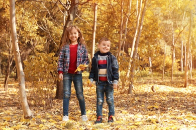 Photo of Cute little children having fun in park. Autumn walk