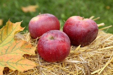 Photo of Delicious ripe apples and maple leaf on hay outdoors, closeup. Autumn harvest