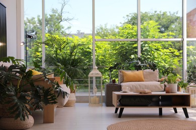 Indoor terrace interior with modern furniture and houseplants