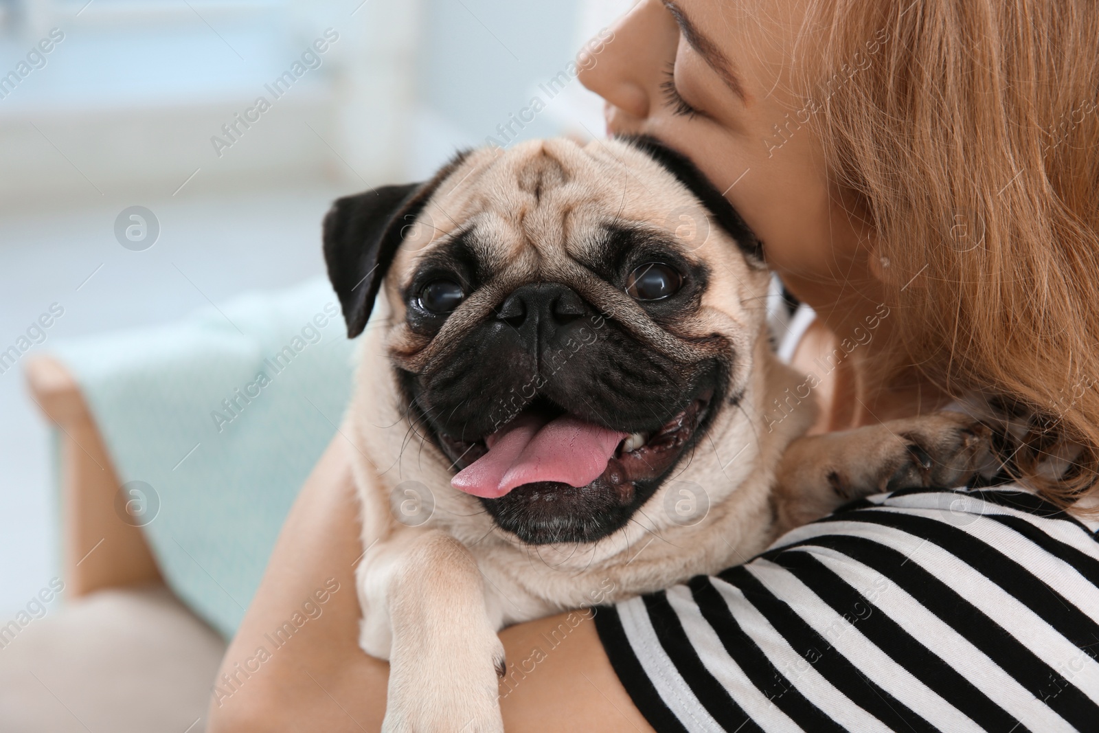 Photo of Woman with cute pug dog at home. Animal adoption