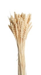 Photo of Bouquet of dried flowers on white background