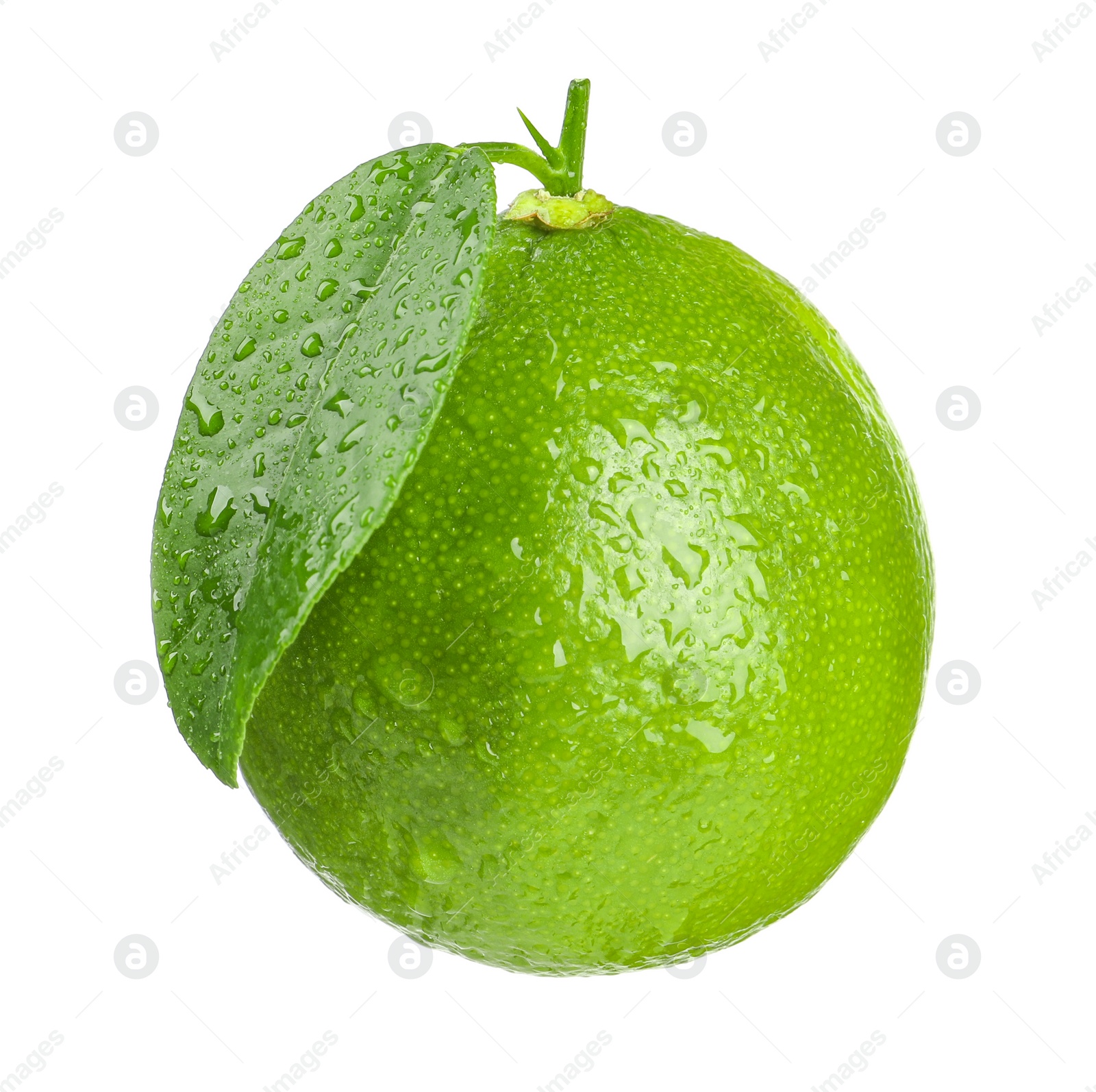 Photo of Fresh green ripe lime with wet leaf isolated on white