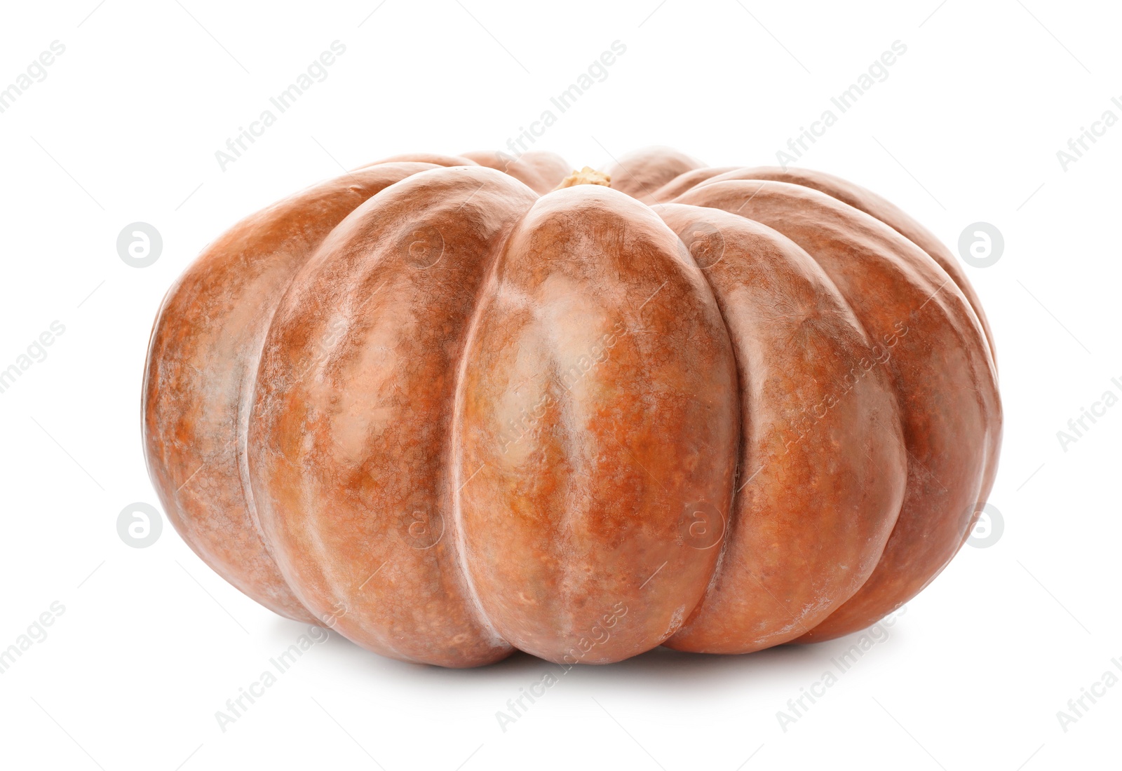 Photo of Fresh raw pumpkin isolated on white. Organic plant