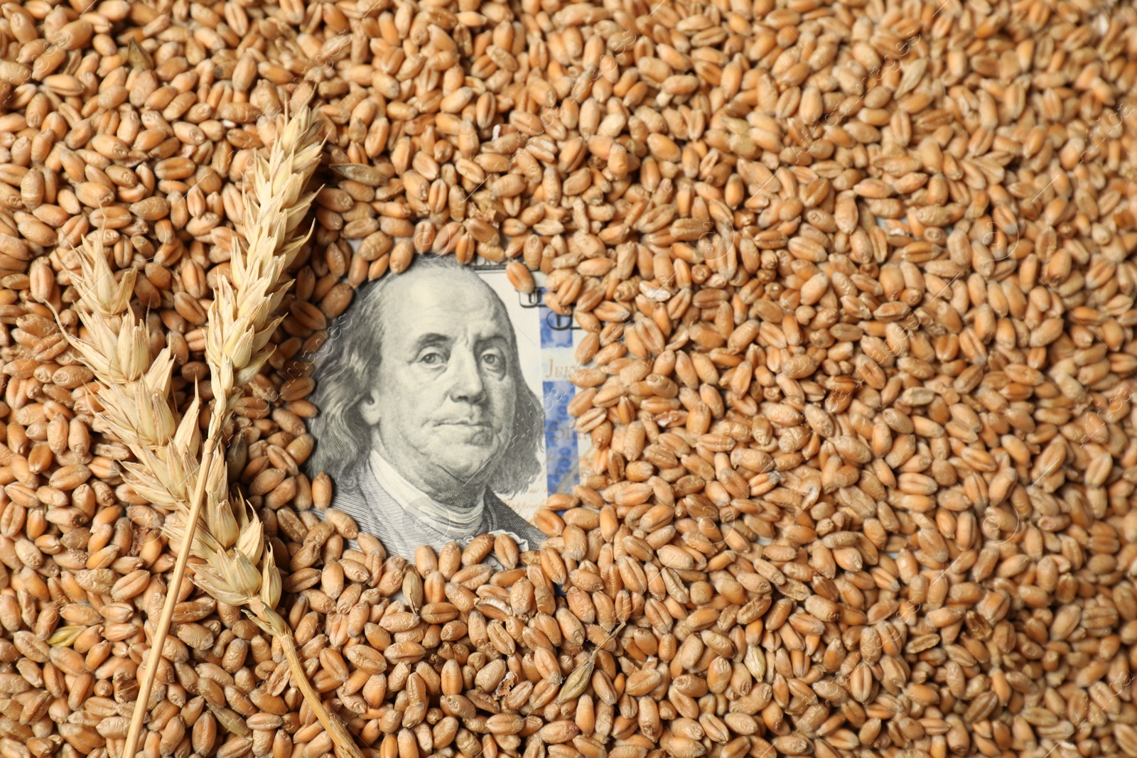 Photo of Dollar banknote, wheat ears and grains, top view. Agricultural business