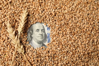Photo of Dollar banknote, wheat ears and grains, top view. Agricultural business