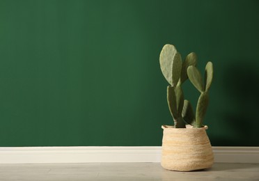 Potted cactus near green wall indoors. Space for text