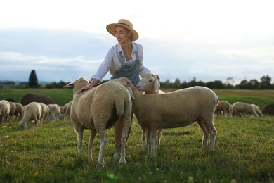 Photo of Smiling woman stroking sheep on pasture at farm