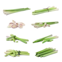 Set with aromatic fresh lemongrass on white background 