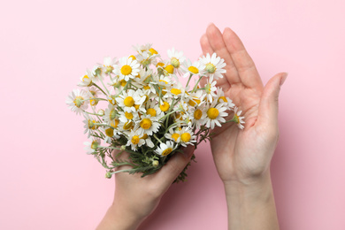 Photo of Woman holding chamomile bouquet on pink background, top view