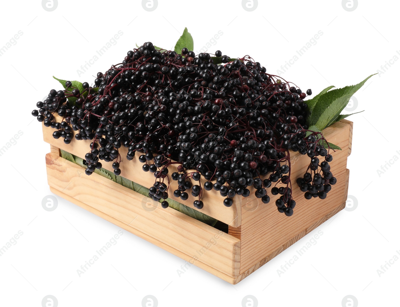 Photo of Crate with ripe elderberries and green leaves isolated on white