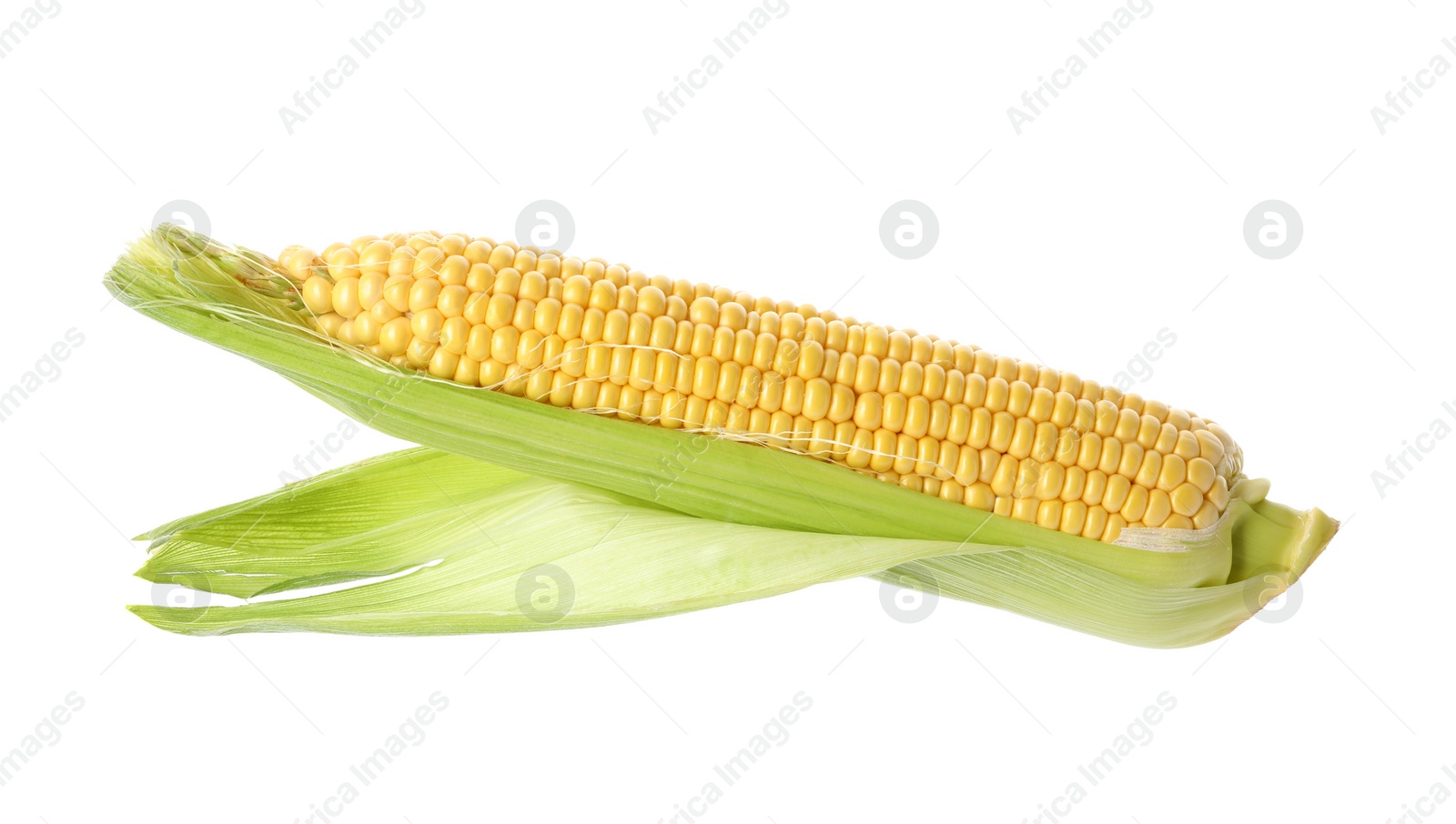 Photo of Ripe corn cob with husk isolated on white