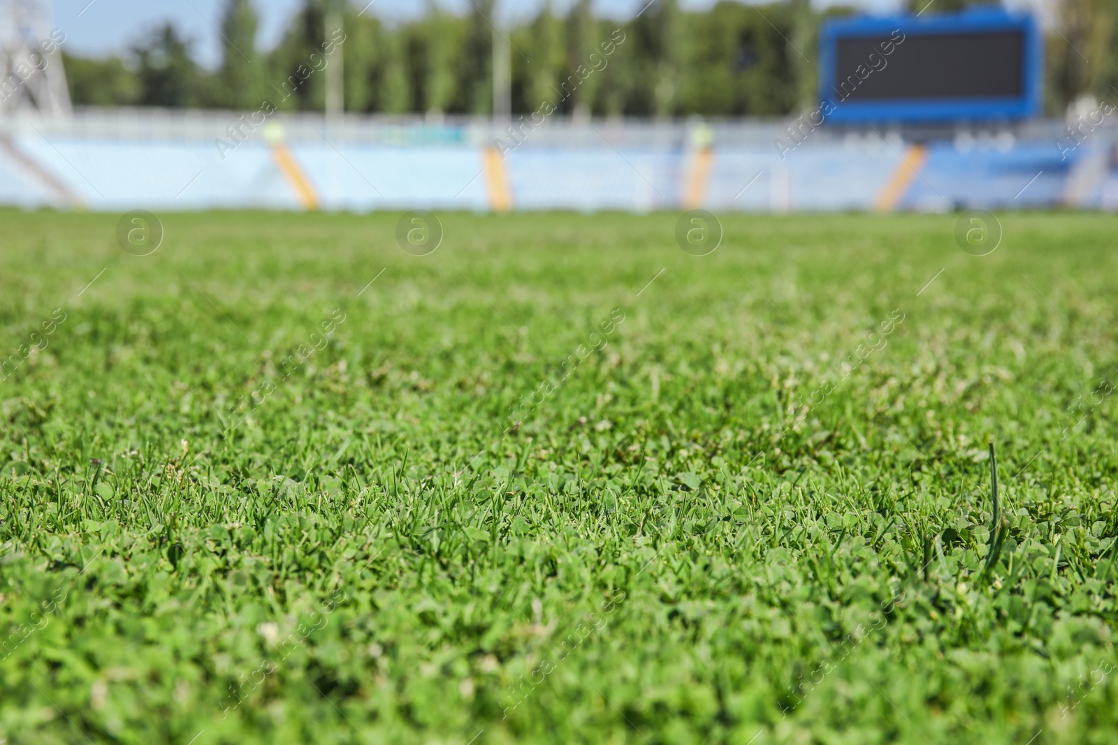 Photo of Football field before game on sunny day