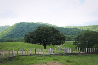 Photo of Picturesque view of high mountains and green meadow with fence