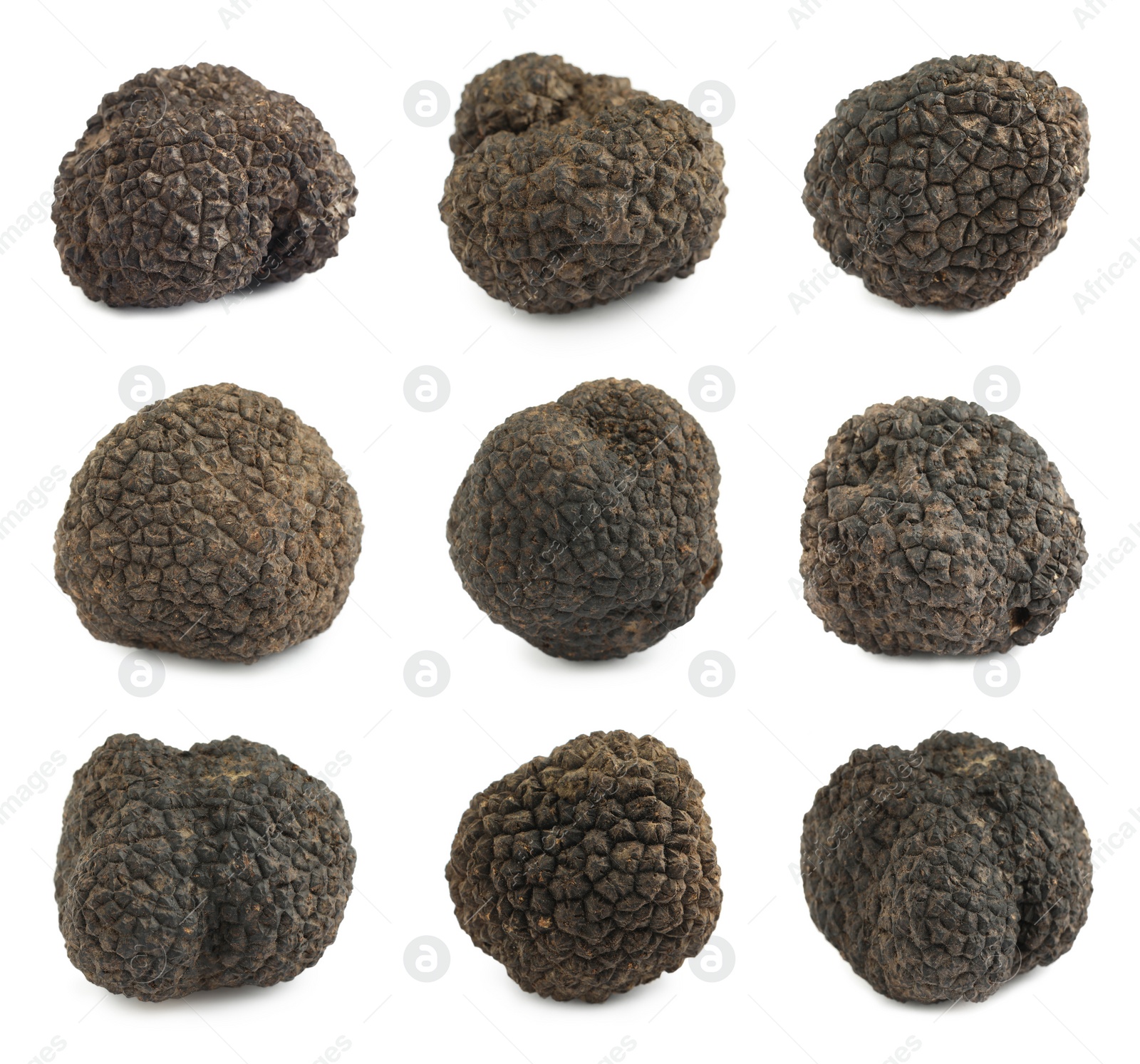 Set with expensive delicious black truffles on white background Image of Set with expensive delicious black truffles on white background