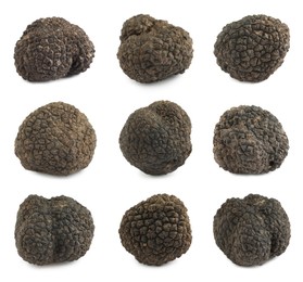 Image of Set with expensive delicious black truffles on white background