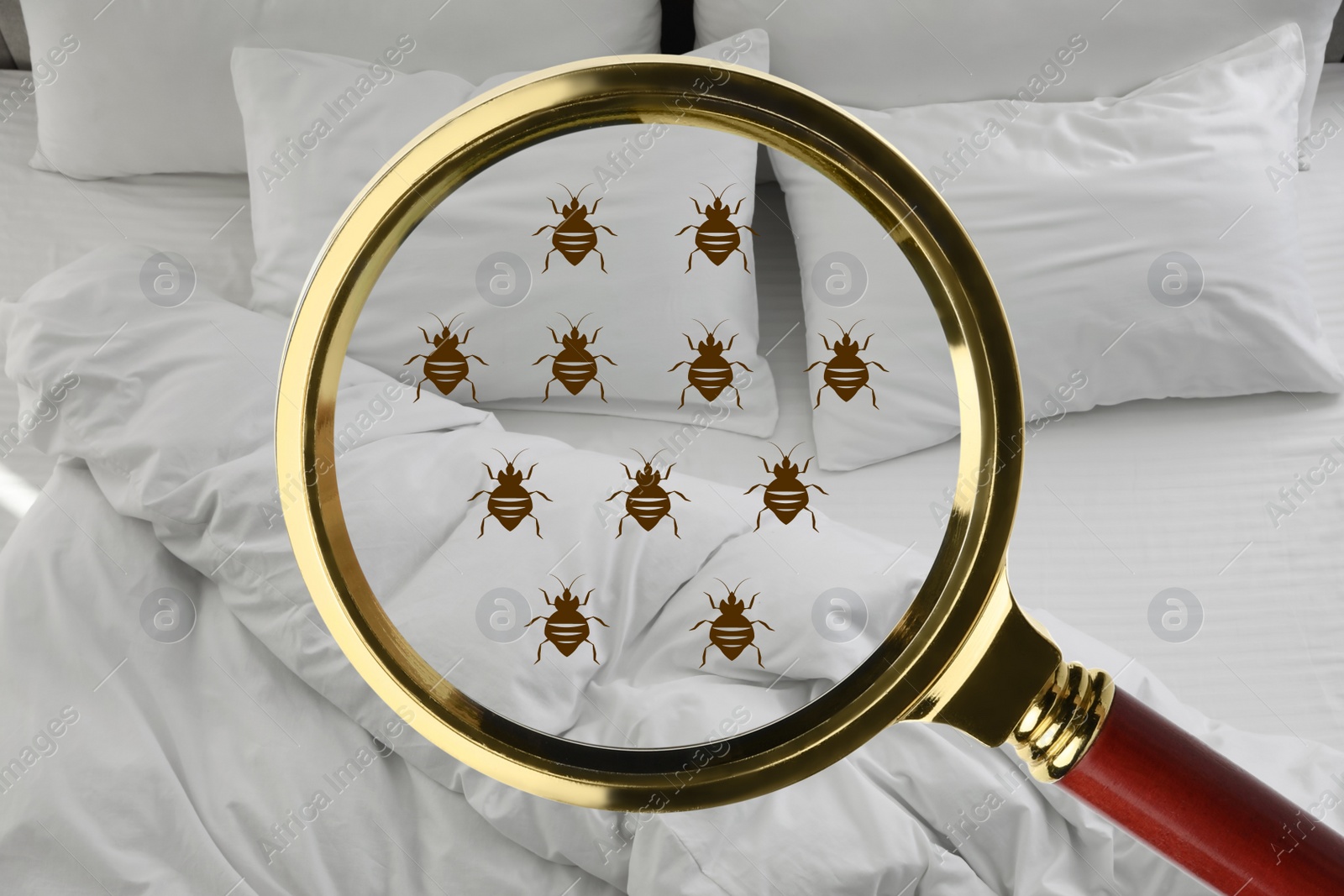 Image of Magnifying glass detecting bed bugs in bedroom, closeup view