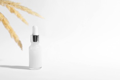 Bottle of cosmetic serum and dry plant on white background. Space for text