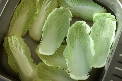 Chinese cabbage leaves in water inside sink, top view